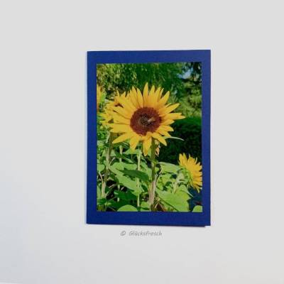 Grußkarte Blau mit Sonnenblume und Biene – Handgefertigte Fotokarte mit Umschlag