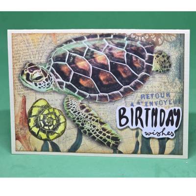 maritime Geburtstagskarte / Geburtstagskarte Schildkröte / Muschelmotiv Grußkarte / Schildkrötenmotiv Karte