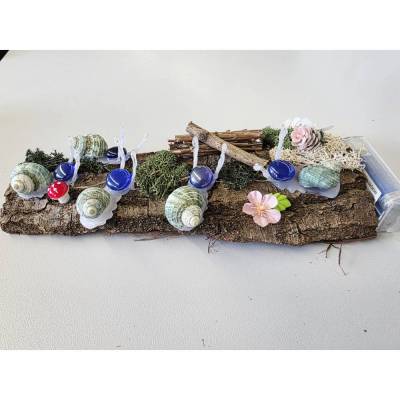 Leuchtschnecken auf Baumrinde mit grünlichen Schneckenhäuser 