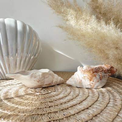 2er Set Deko-Muscheln mit Farbverlauf aus Kupfer und Weiß
