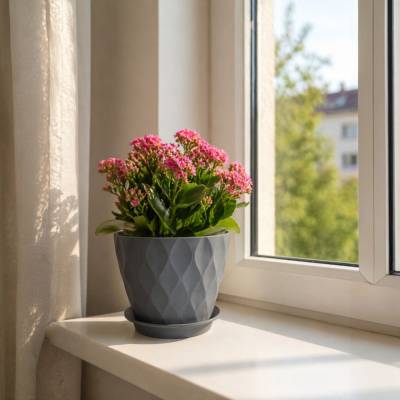 Minimalistischer Pflanztopf mit Wellentextur und Drainageschale