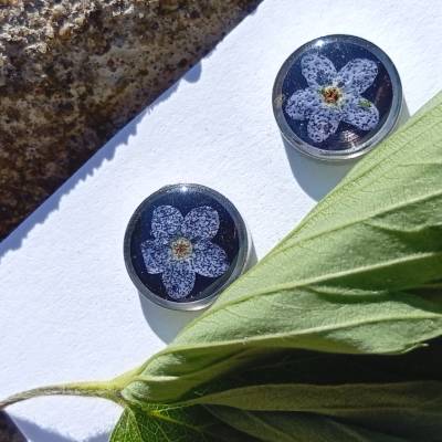 Vergissmeinnicht Ohrstecker Echte Blüten Handmade 