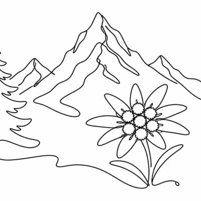 Edelweiß SVG Datei | Alpen Line Art mit Bergen und Tanne | Minimalistische Lasergravur Vorlage | PNG PDF xTool Cricut