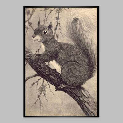 Niedliches Eichhörnchen Radierung Lithography um 1921 -  Kunstdruck Poster  -  Vintage Bild - Wanddeko Wandkunst
