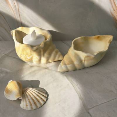 2er Set Deko-Muscheln mit Farbverlauf aus Braun, Beige, Weiß