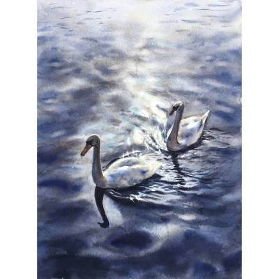 Ein Schwanenpaar auf der Havel