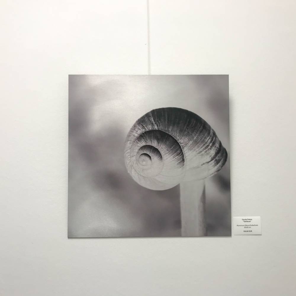 Gehäuse Fotografie Kunstdruck Aluminiumdibond Butlerfinish Bild 2