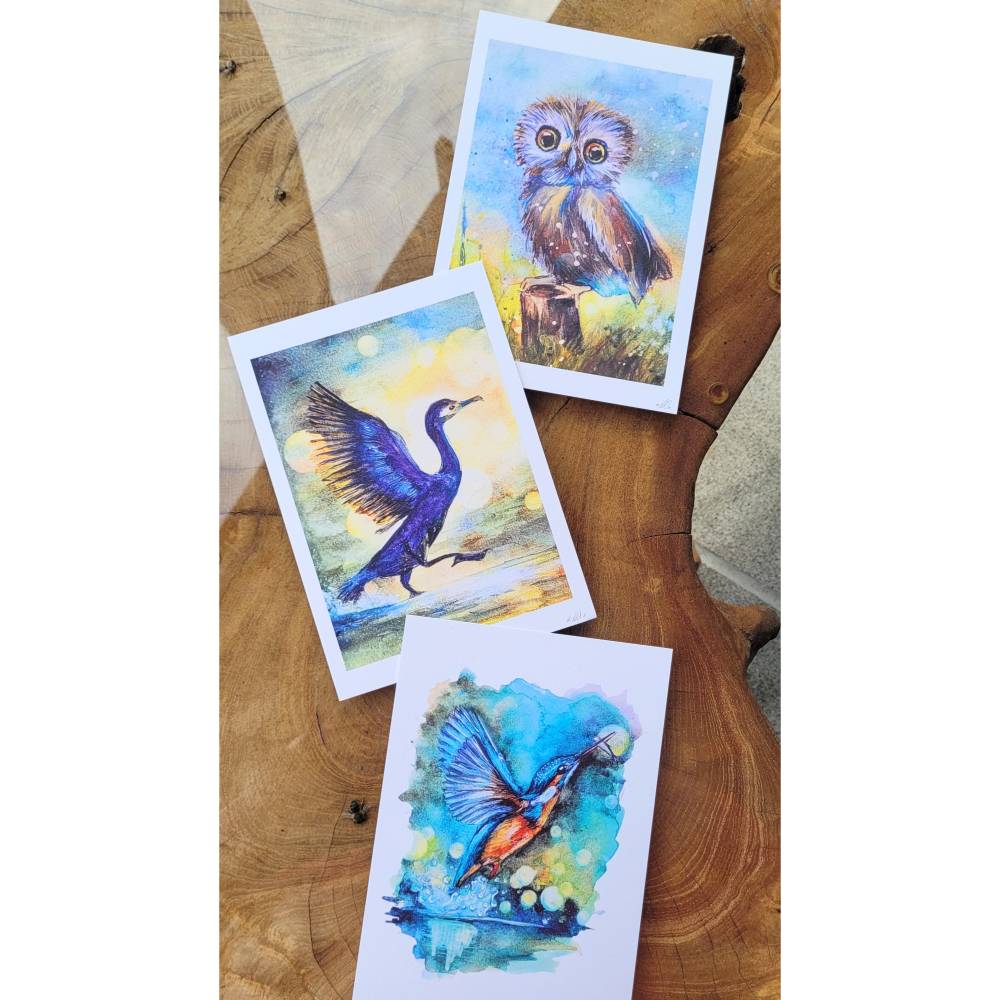 Vogelserie „tierisch ehrlich“ – 3 farbenfrohe Aquarell-Kunstdrucke gerahmt | Eisvogel, Eule & Kormoran Bild 3