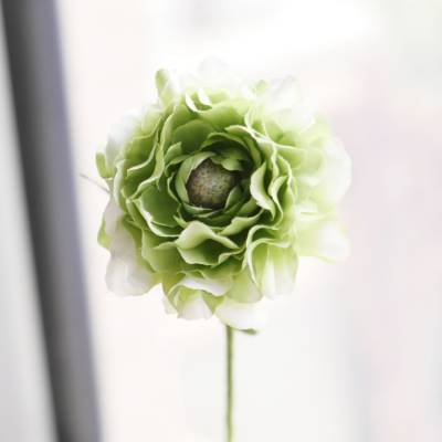 Ranunkel grün Kunstblume