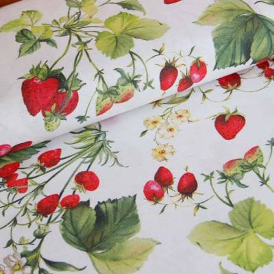 Dekostoff Ottomane bedruckt mit Erdbeeren auf Weiß (1m /12,00€)
