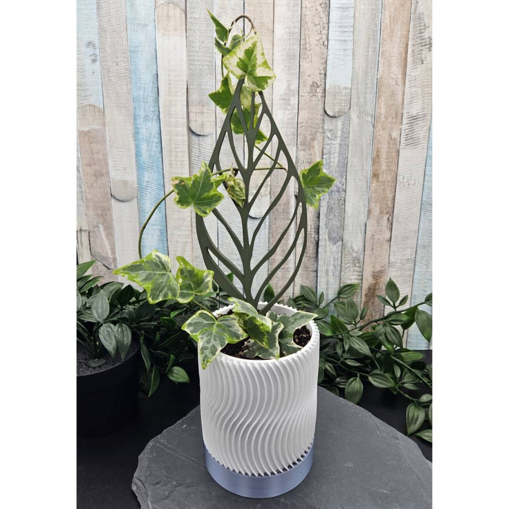 Rankhilfe Zimmerpflanzen 3D-Druck, Pflanzensttze Set fr Monstera und  Efeu, Dekorative Kletterhilfe Trellis
