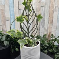 Rankhilfe Zimmerpflanzen 3D-Druck, Pflanzensttze Set fr Monstera und  Efeu, Dekorative Kletterhilfe Trellis