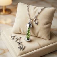 Edelstahlkette mit Farn-Terrarium  Personalisierter Glasanhnger,  Minimalistisch & Einzigartig
