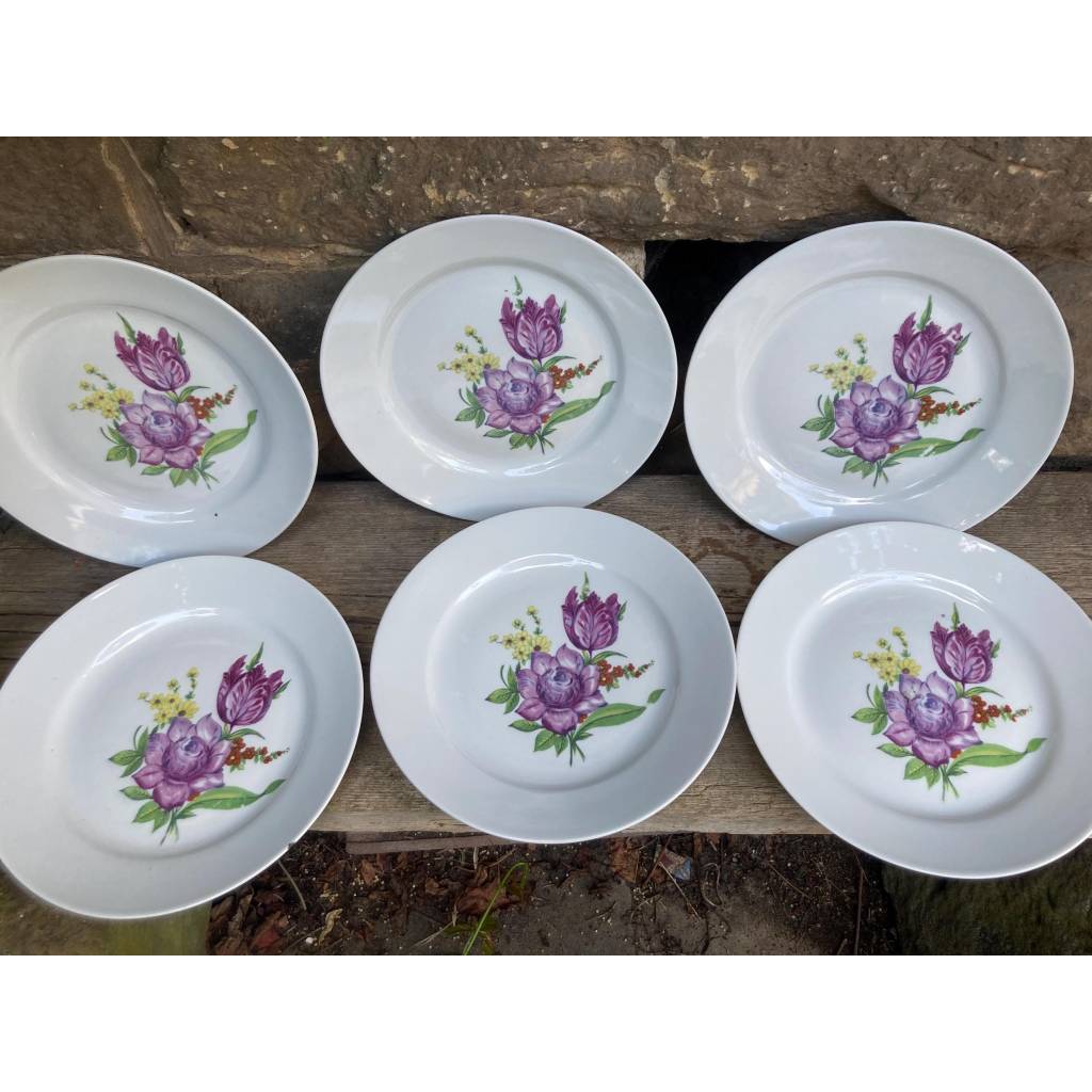 6er Set Speiseteller mit Blumendekor Kahla Porzellan DDR