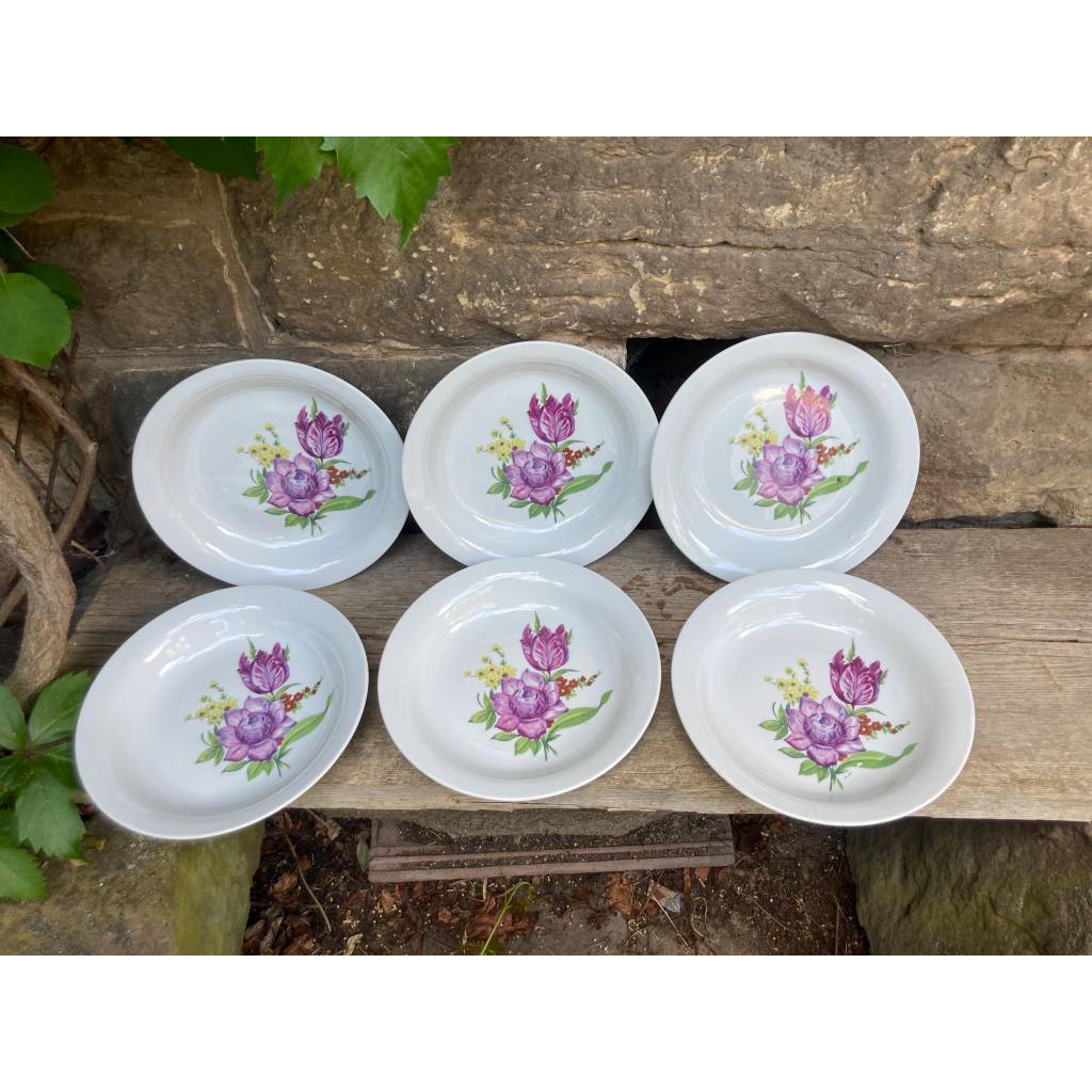 6er Set Suppenteller Pastateller mit Blumendekor Kahla Porzellan DDR