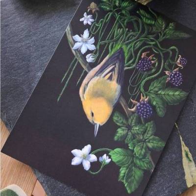 A6 Postkarten Set Flower Animals