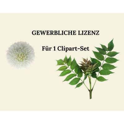 Gewerbliche Lizenz | Basis Einzellizenz für 1 Clipart Set/Wandbilder Set | Commercial License | pollimarket