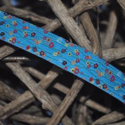 Webband Blümchen Blau