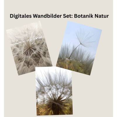 Digitales Wandbilder Set: Botanik Natur | 3 Poster Wiesenbocksbart in warmen Farben | Printable Wall Art | A4 PDF