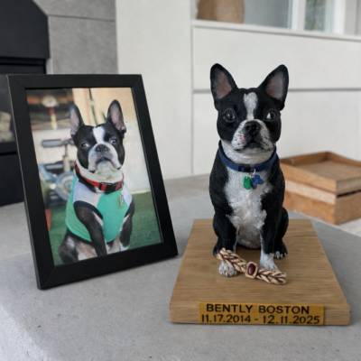 Tierurne Hund Boston Terrier nach Foto - Personalisierte Hundeurne, handgefertigte Skulptur, Hundeportrait