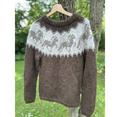 Pullover aus isländischer Schurwolle  S