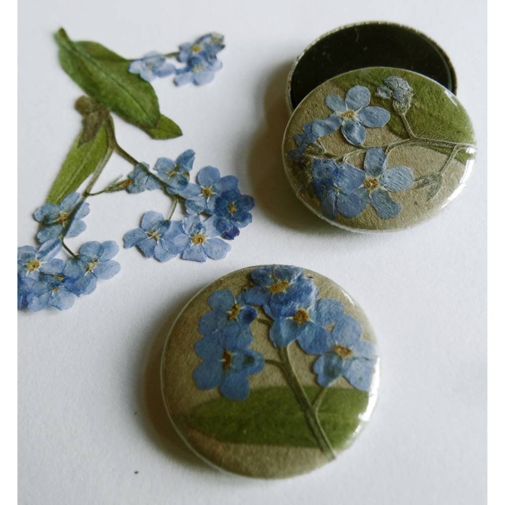 Vergissmeinnicht, getrocknete Blüten auf Button oder Magnet, 25mm, handgemacht