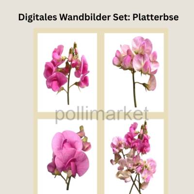 Digitales Wandbilder Set: Rosa Platterbse | 4 Poster Natur & Botanik | Printable Wall Art | A4 PDF
