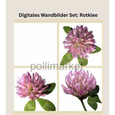 Digitales Wandbilder Set: Wilder Rotklee | 3 Poster Natur & Botanik | Printable Wall Art | A4 PDF