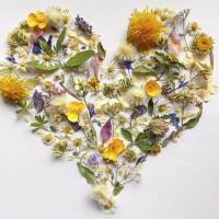 2-in-1 Set: Vintage Blumenherz | Wandbild JPG & Clipart PNG | Echtes getrocknetes Herbarium Wall Art