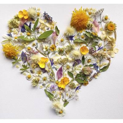 2-in-1 Set: Vintage Blumenherz | Wandbild JPG & Clipart PNG | Echtes getrocknetes Herbarium Wall Art 
