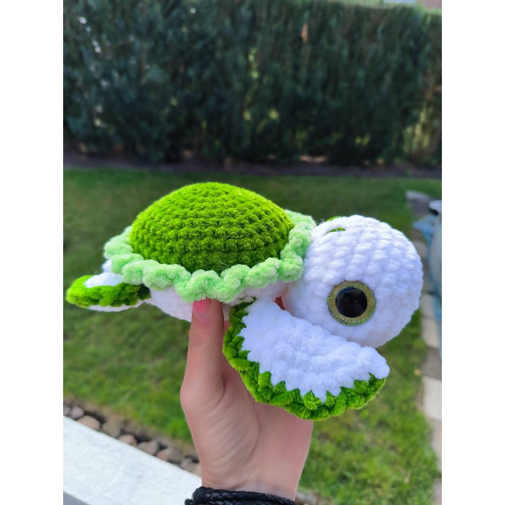 Schildkröte Bild 2
