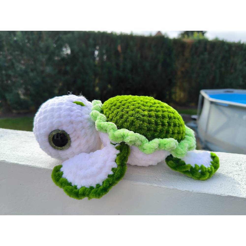 Schildkröte Bild 3