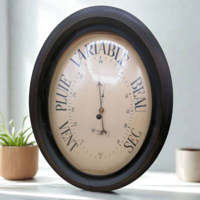Antikes Barometer Maucher Paris um 1900 – Originales ovales Wandbarometer mit bombiertem Glas
