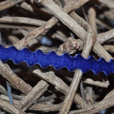 Samtband wellen 12mm royalblau