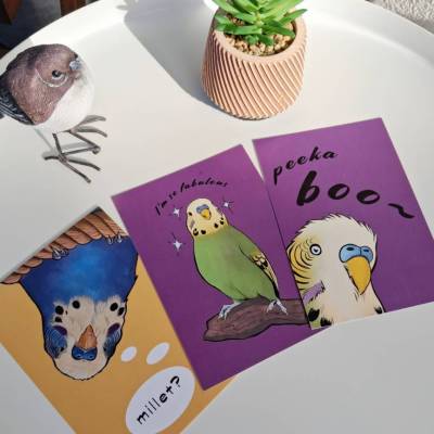 A6 Postkarten 8er Set Funny Birbs
