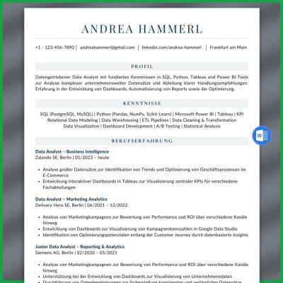 Lebenslauf Vorlage Data Analyst - ATS Lebenslauf Word Datenanalyst, Professionelles Lebenslauf-Muster | A4