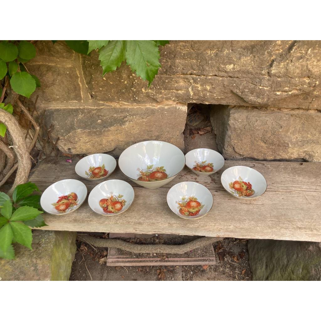 7 tlg Set Schüssel + Dessertschalen Obst Dekor Seltmann Weiden Porzellan 50er Jahre