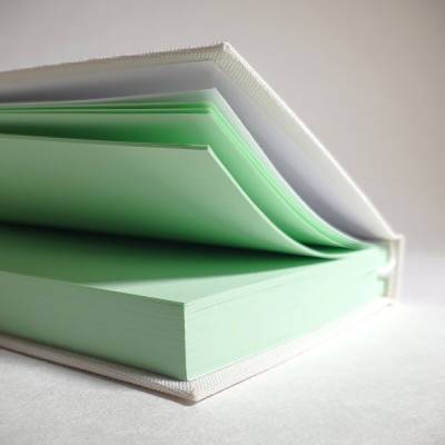 Notizbuch mit hellgrünen Seiten