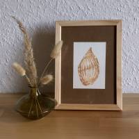 Original Aquarellzeichnung 'Wellen der Muskatnuss' – Muschel-Kunst A7, signiert, mit/ohne Rahmen
