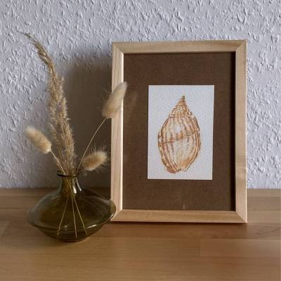 Original Aquarellzeichnung 'Wellen der Muskatnuss' – Muschel-Kunst A7, signiert, mit/ohne Rahmen