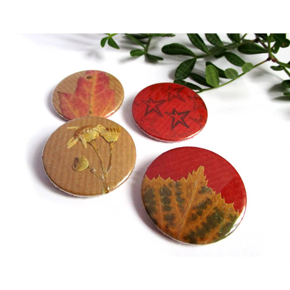 Herbst in Berlin, Buttonset, gepresste Blüten und Blätter. 4-er Set 38mm, handgemacht
