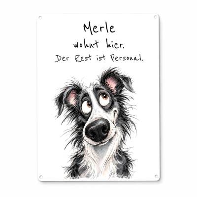 Border Collie Dekoschild personalisiert | Aluminium, DIN A4