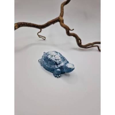 Kleine Schildkröte mit Graublau-weiß