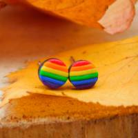 LGBTQA+ Pride Ohrstecker, Regenbogenfahne Statement Ohrringe