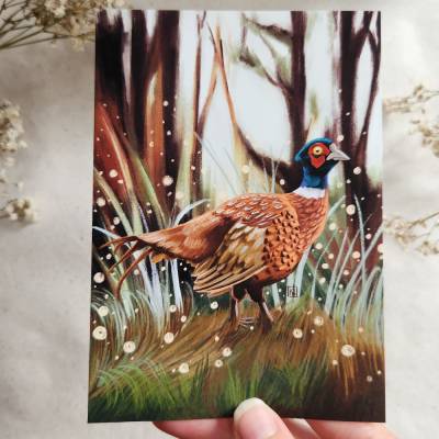 Fasan Kunstdruck A6-A4 "Frederick" | Vogel Illustration Feld & Wald | Giclée Print Archivpapier