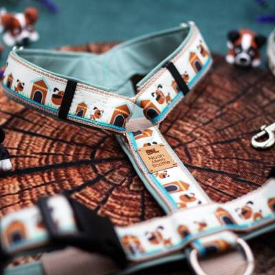 Hundegeschirr Buddy Comic Hunde Cremeweiß Mint Kunstleder verstellbar