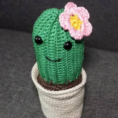 Häkelanleitung für den Kaktus mit Blüte