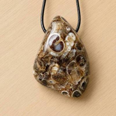 Schneckenachat Anhänger - 30 mm x 20mm – Echter Turitella Achat Fossilien Edelstein Unikat