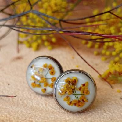 Ohrstecker Echte Fenchel Blüten Handmade