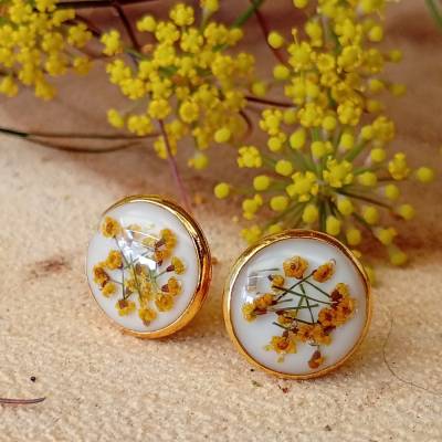 Ohrstecker Echte Fenchel Blüten Handmade
